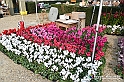 VBS_6632 - FLOREAL Ottobre 2022 - Tre giorni di fiori, piante e bellezza